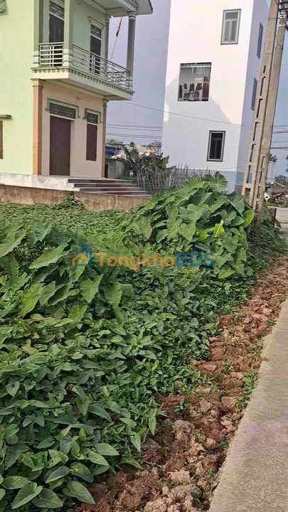 Đất nền Giao Tân Nam Định 8x17+9x21m - Xây dựng tự do