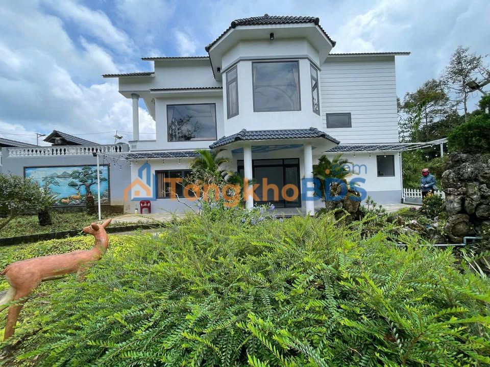 Townhouse Phó Đức Chính Bảo Lộc 431m² 5.5 tỷ - Full nội thất