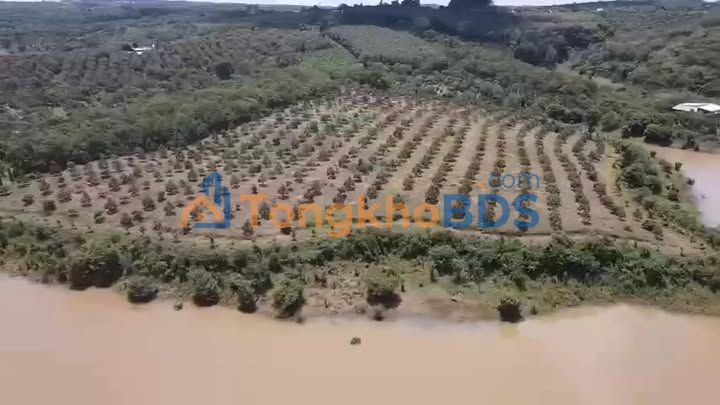 Đất vườn Bình Ba Châu Đức 2.6ha - Sinh thái xanh