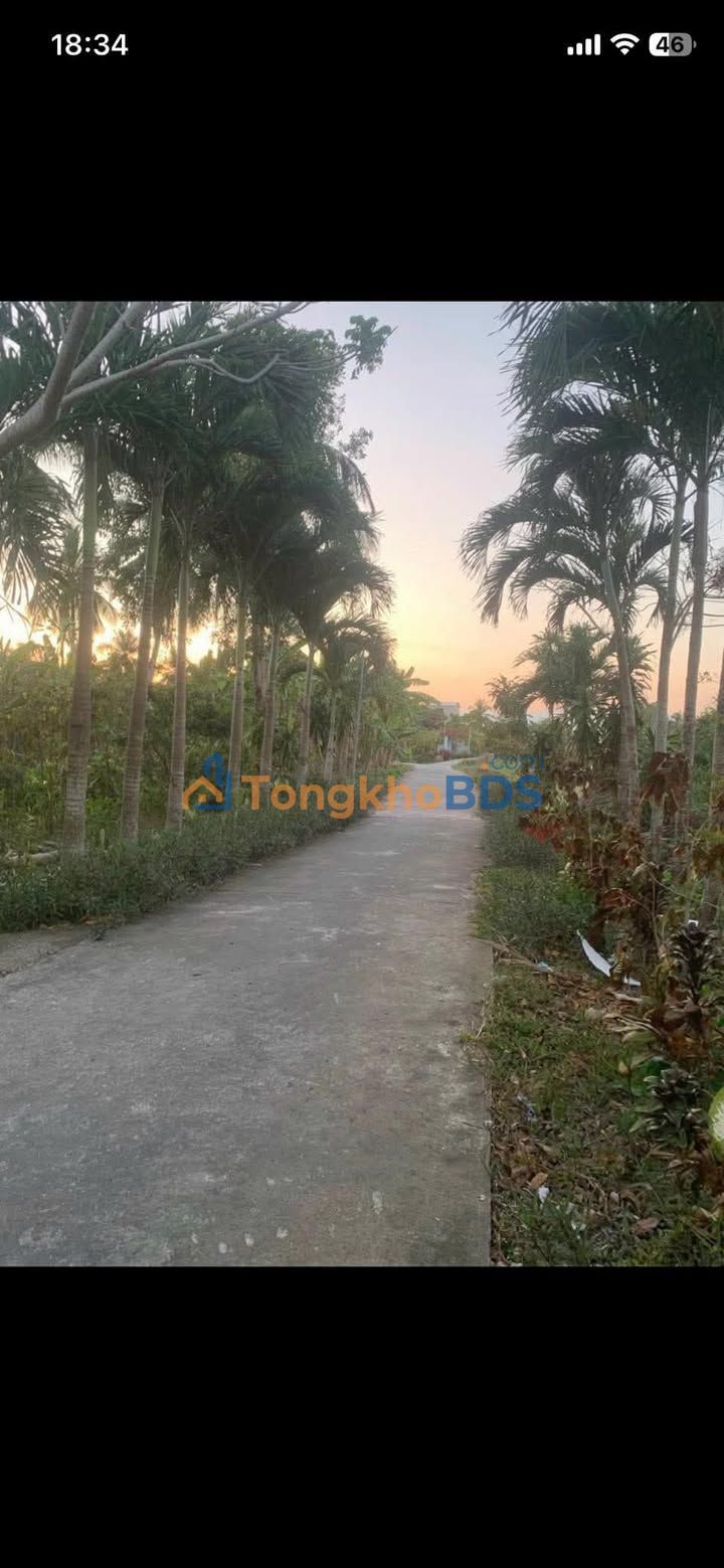 Đất vườn Xã Khánh Hưng Trần Văn Thời 5ha - Sổ đỏ chính chủ, phù hợp nghỉ dưỡng