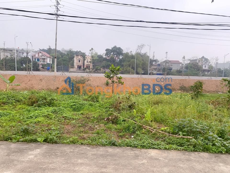 Đất nền Phù Đổng Việt Trì 100m² 3 tỷ - Sổ đỏ chính chủ