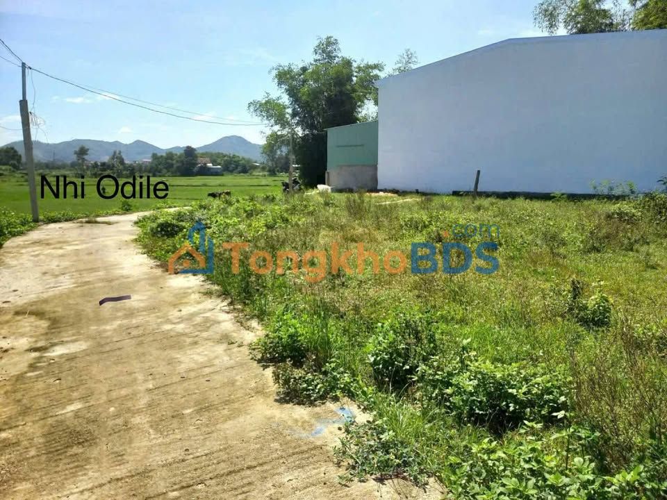 Đất Nhơn Hòa An Nhơn 136m² 3xx triệu - Xây dựng tự do