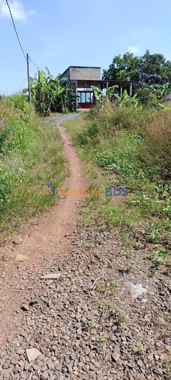 Đất 1 sào Trảng Bom 432m² 1,1 tỷ - Sổ đỏ chính chủ