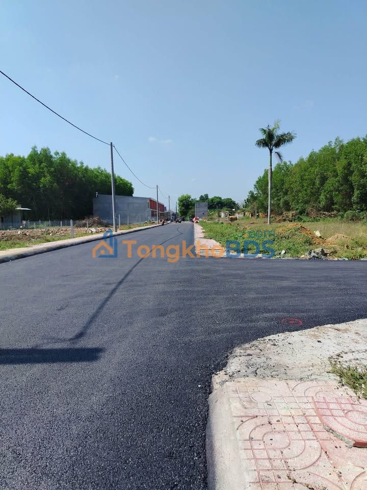 Đất nền Tân Triều 80-100m² giá 1.13 tỷ - Sổ đỏ chính chủ