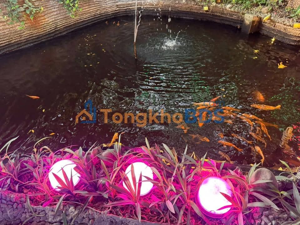 Đất Linh Tây Thủ Đức 1.000m² 30 triệu - Hạ tầng hoàn thiện