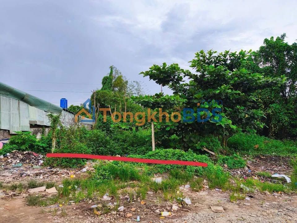 Đất nền Bình Mỹ Củ Chi 281m² 7 tỷ - Đất thổ cư 100%