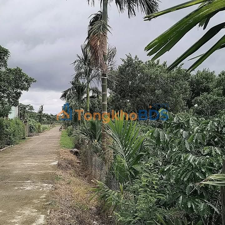 Đất nền Dur KMăl Krông A Na 1080m² thỏa thuận - Sổ đỏ chính chủ