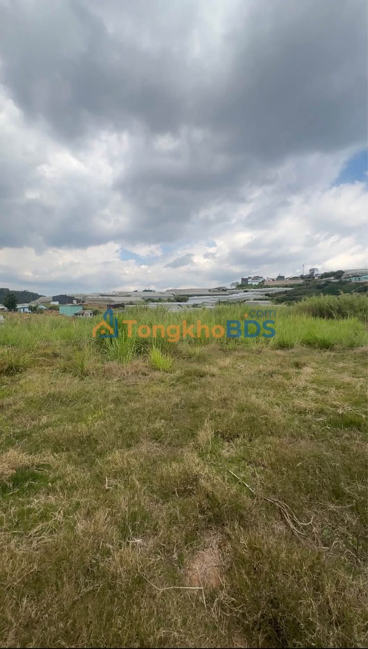 Đất nền Cao Thắng Đà Lạt 1.700m² 17,5 tỷ - Đường to ô tô