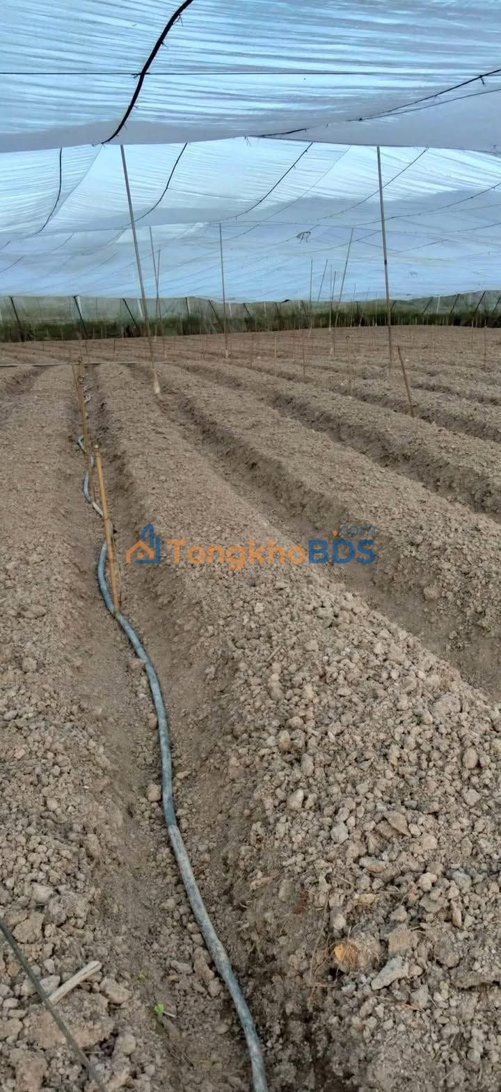 Farm Lạc Xuân 2600m² 3,97tỷ - Sổ đỏ chính chủ