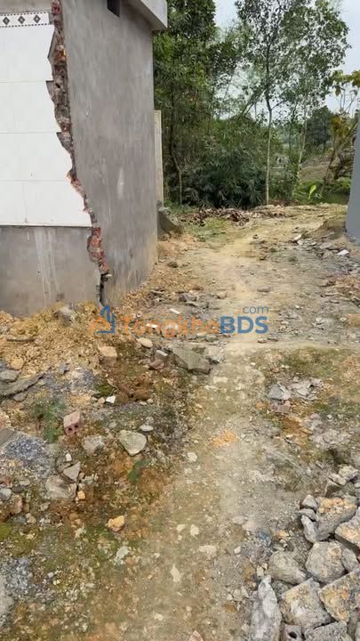 Nhà riêng Đồng Thịnh Yên Lập 1642m² giá 1 tỷ - Sẵn sàng ở ngay