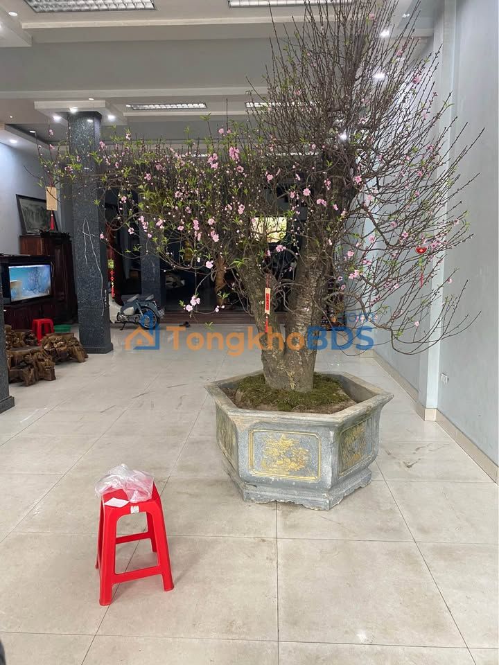 Nhà kinh doanh Lê Hữu Lập Thanh Hóa 128m² 18tr - Mặt tiền KD