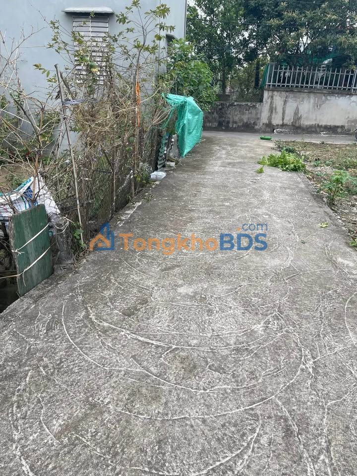 Đất Nam Định 60m² 7xx triệu - Chính chủ bán gấp