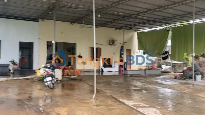 Nhà cấp 4 Thôn 2 Lĩnh Sơn 600m² - Chính chủ bán