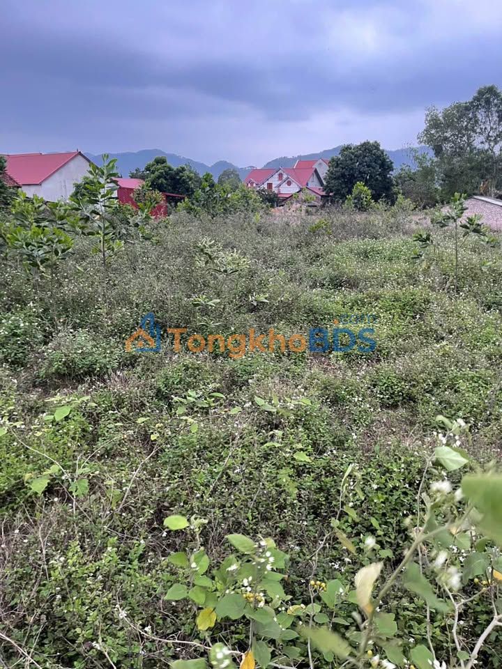 Đất nền Sóc Sơn 926m² giá 5.556 tỷ - Sổ đỏ chính chủ