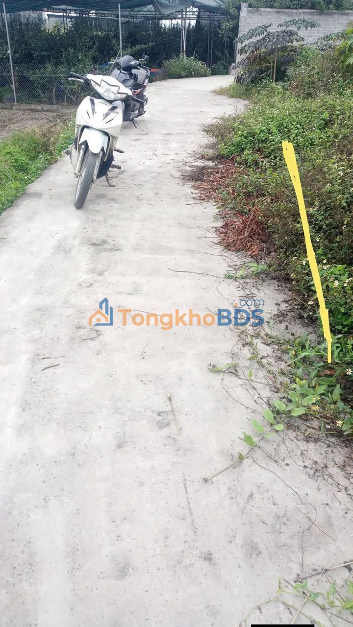 Đất nền Hùng Sơn Hiệp Hòa 92m² giá 4xx - Đường to ô tô