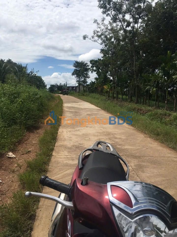 Đất nền Thôn 3 Đắk Wil 809m² giá 1.186 tỷ - Đường to ô tô