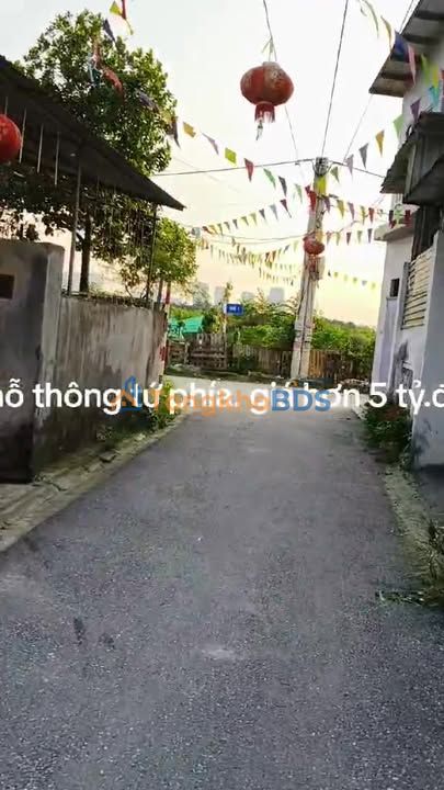 Đất nền Kiêu Kỵ Gia Lâm 50m² 5 tỷ - Sổ đỏ chính chủ