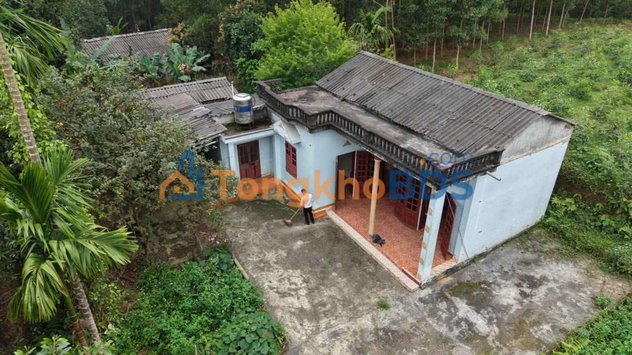 Đất nền Yên Kỳ Hạ Hòa 150m² 500 triệu - Giá tốt hiếm có