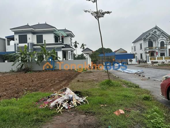 Bán Đất Đấu Giá Hùng Cường, Hưng Yên - 156m² Mặt Tiền Rộng, Giá 3.5 Tỷ