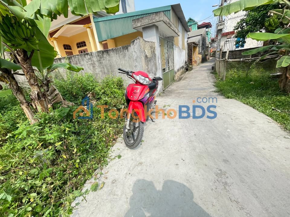 Đất nền Hùng Thắng Bình Giang 79m² 500 triệu - Sổ đỏ chính chủ