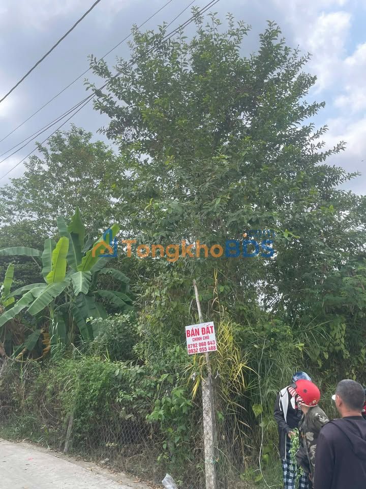 Đất nền Mỹ Yên Bến Lức 230m² 2.7 tỷ - Đường ô tô vào sâu