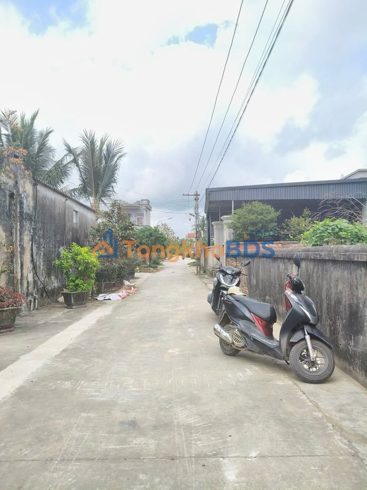 Đất nền Thuần Lộc Hậu Lộc 250m² 700-799 triệu - Sổ đỏ chính chủ