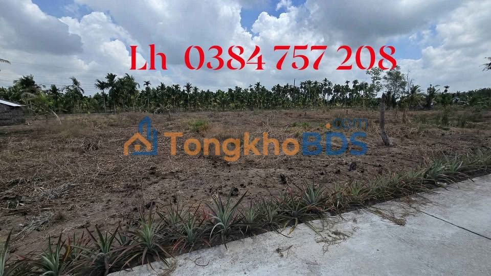 Đất nền Vĩnh Thành An Giang 150m2 2xx triệu - Thổ cư 100%