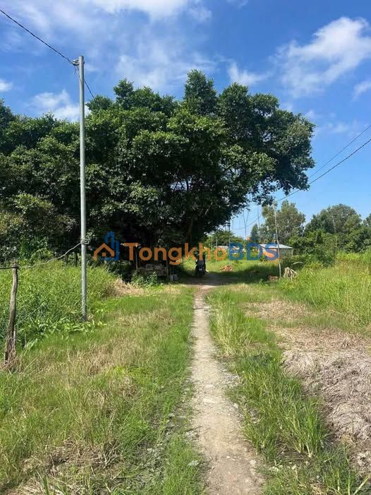 Đất nền Dương Tơ Phú Quốc 100m² 440 triệu - Thổ cư 100%