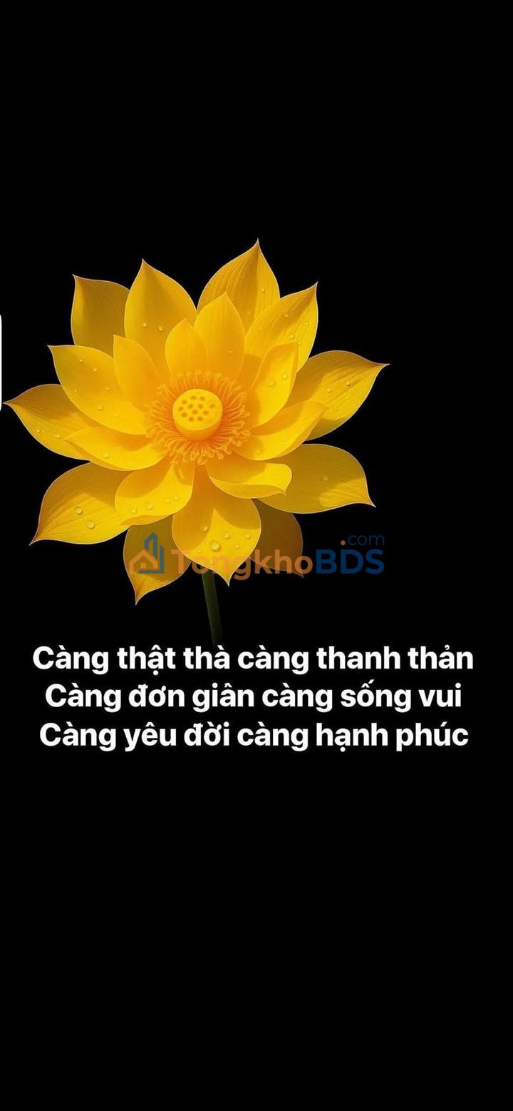 Đất nền Hùng Vương Quy Nhơn 42m² giá 1 tỷ - Sổ đỏ chính chủ