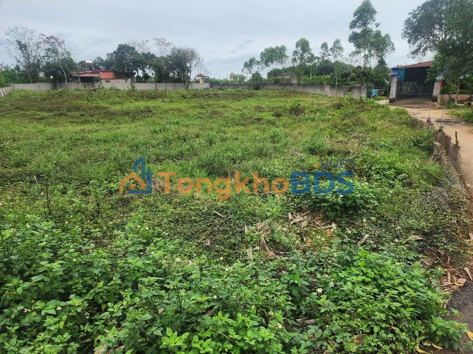 Đất vườn Phồn Xương Yên Thế 6500m² 2 tỷ - Đầu tư dài hạn