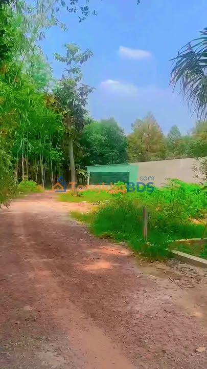 Đất Thành Tâm Chơn Thành 500m² 650 triệu - Sổ đỏ chính chủ