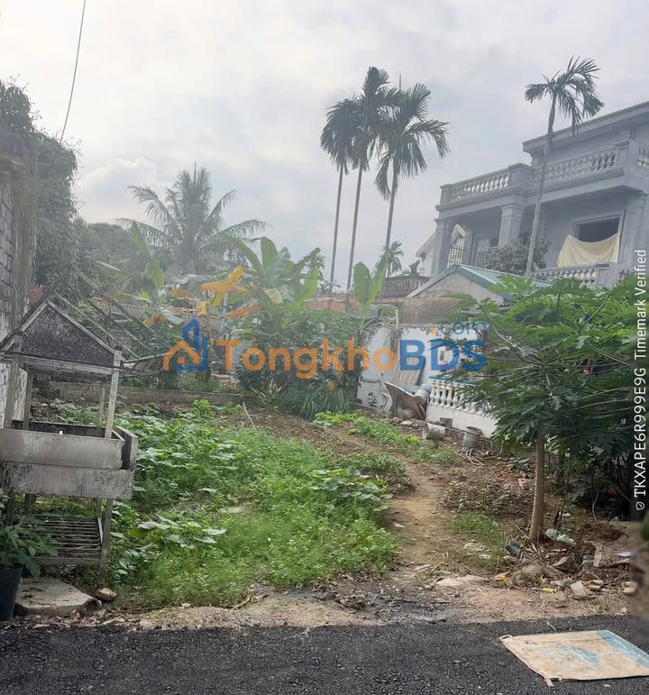 Đất nền Tân Liêm Hà Nam 75m² 2.5 tỷ - Sổ đỏ chính chủ