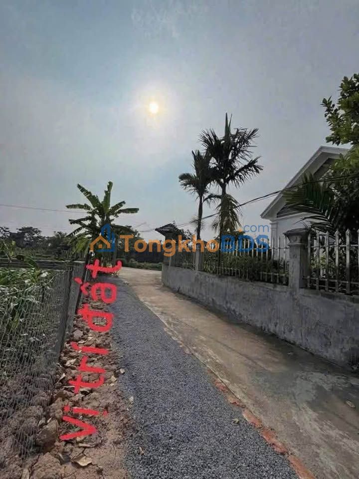 Đất thổ cư Thôn 9 An Ninh 125m² vài trăm triệu - Sổ đỏ chính chủ