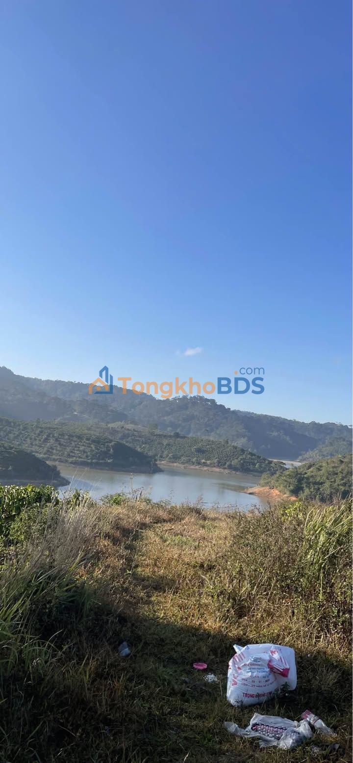 Farm Xã Tà Năng 11.000m² 2.3 tỷ - Nghỉ dưỡng lý tưởng