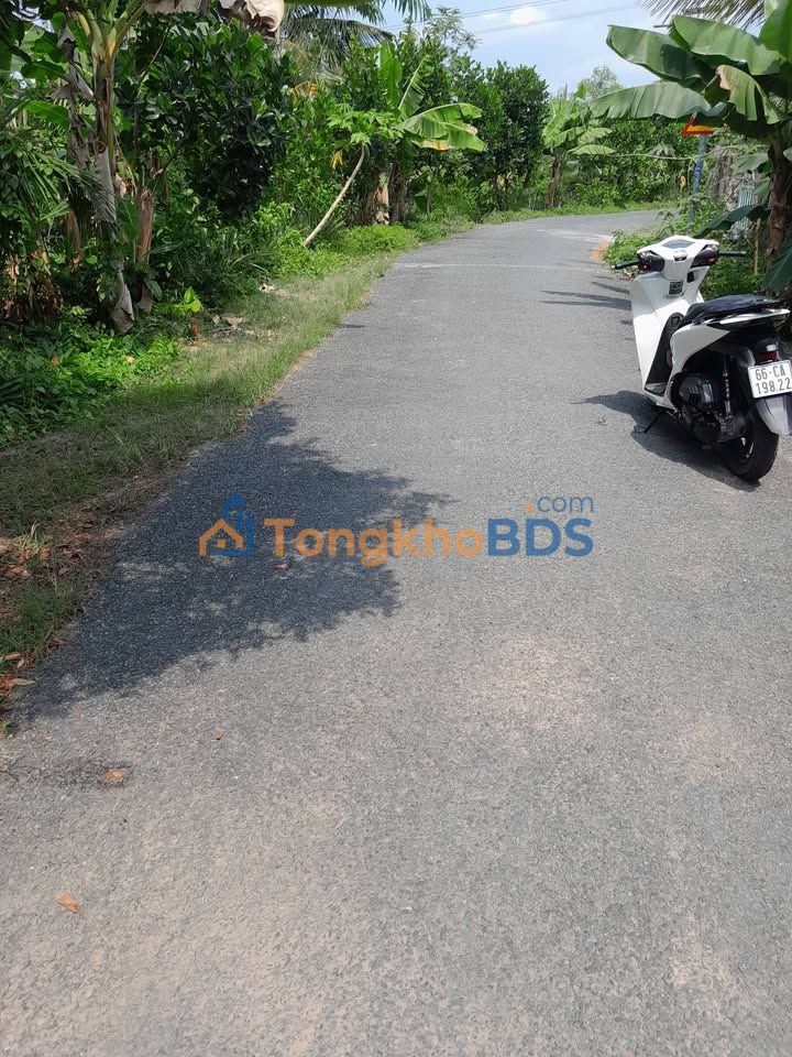 Đất nền Phú Hựu Châu Thành 2ha 14 tỷ - Sổ đỏ chính chủ