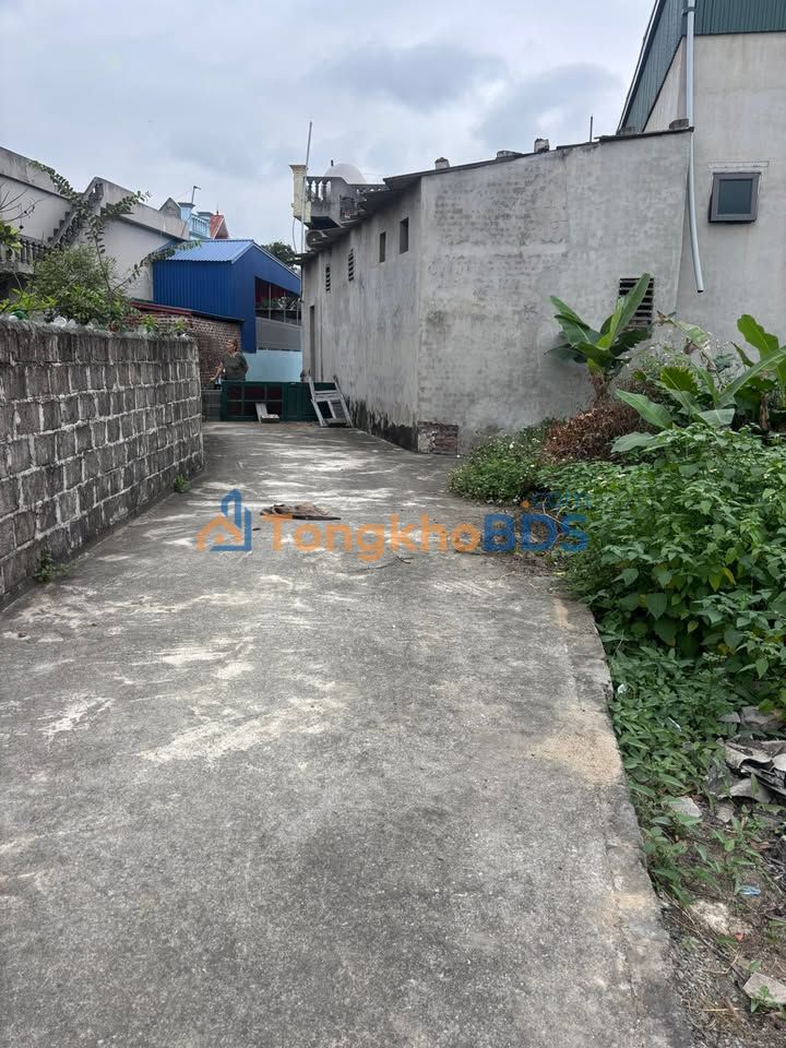 Đất Phường Hiến Thành 100m² giá 700 triệu – Sổ đỏ chính chủ hiếm có