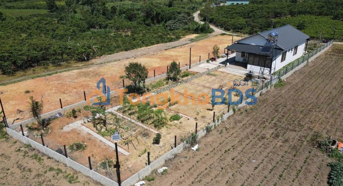 Nhà Lộc Châu Bảo Lộc 1.020m² 2,95 tỷ - Sẵn sàng ở ngay