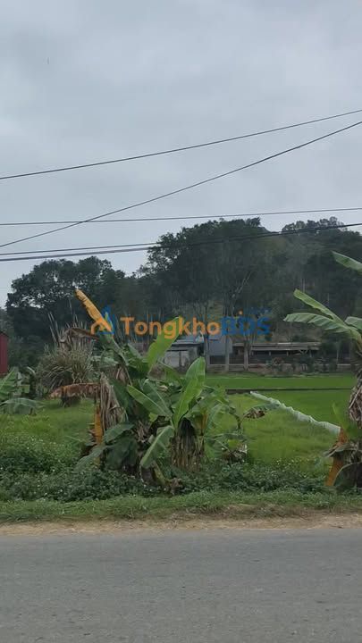 Đất QL 217 Tây Đô 120m² giá thỏa thuận - Đầu tư dài hạn