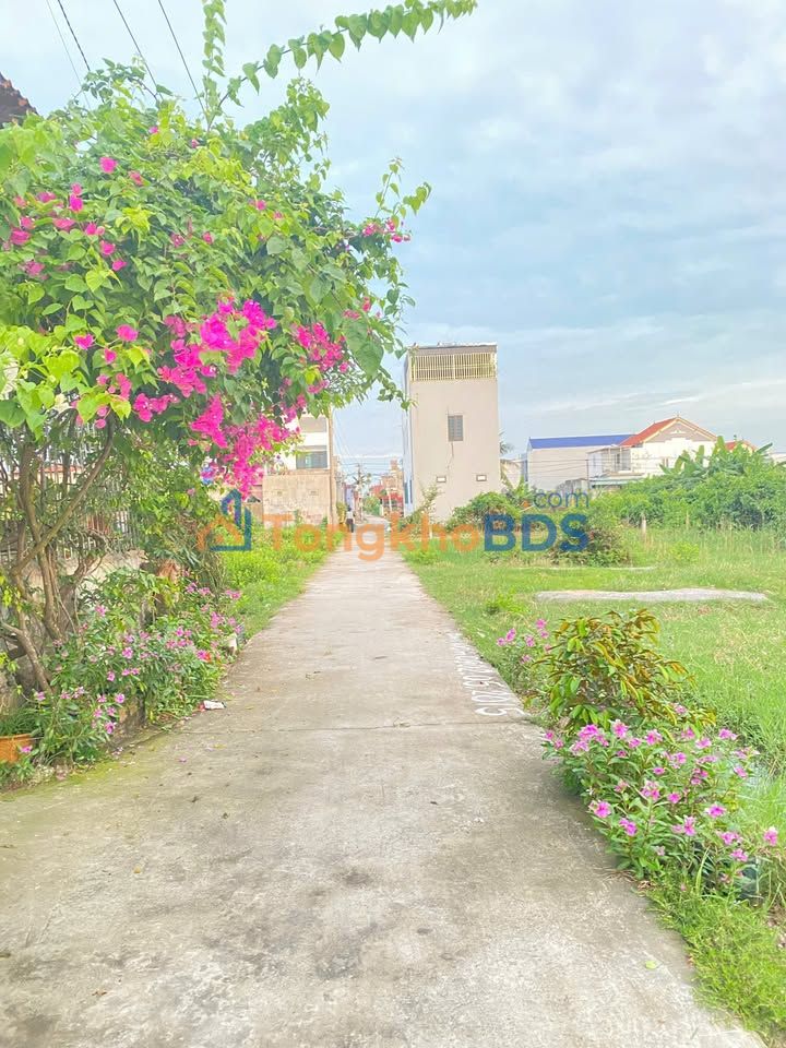 Đất nền Tân Hợp Dương Kinh 100m² 2 tỷ - Sổ hồng chính chủ