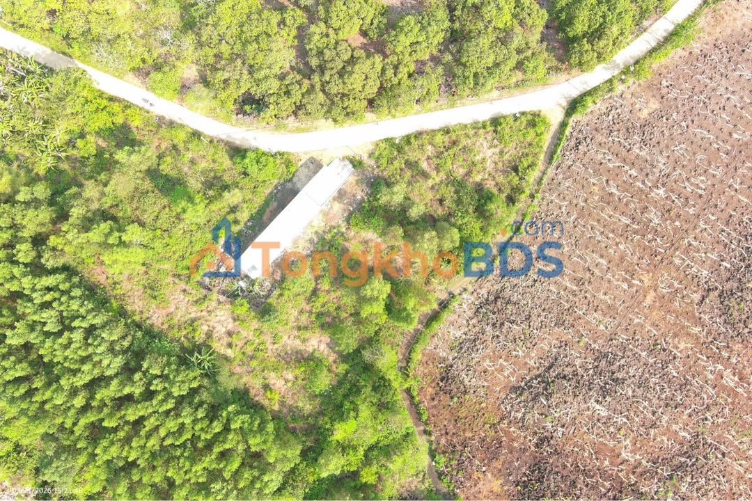 Đất nền Phú Tân Định Quán 154m² 279tr - Sổ hồng rõ ràng