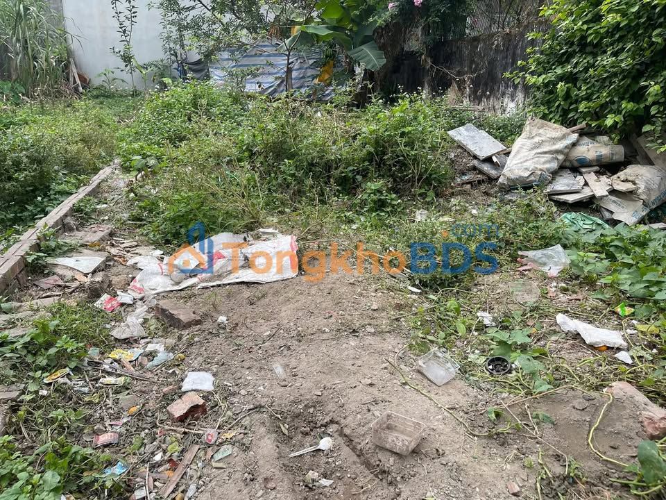 Cần thêm thông tin tiện ích