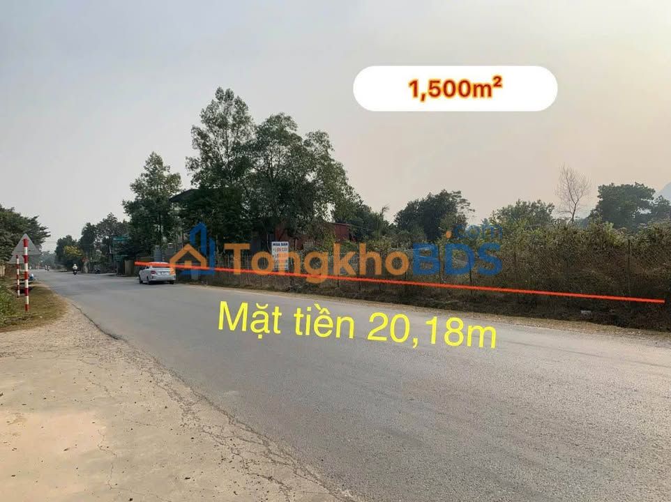 Đất nền Phú Thành 1.500m² 7.5 tỷ - Sổ đỏ chính chủ