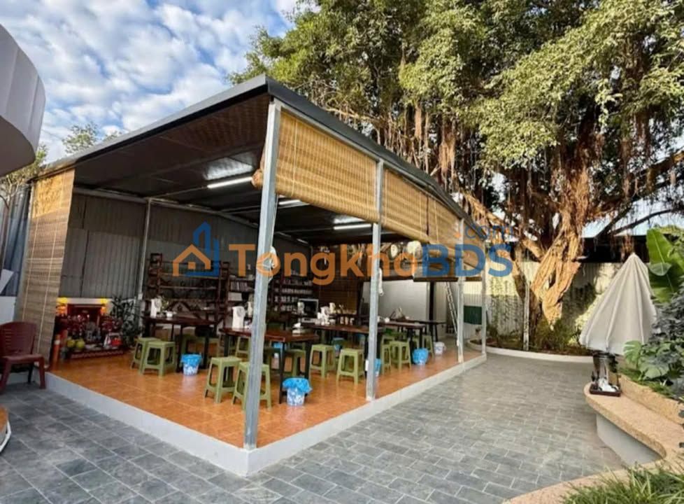 Nhà mặt phố Trần Điền Thanh Xuân 350m² 60 triệu – Mặt tiền kinh doanh