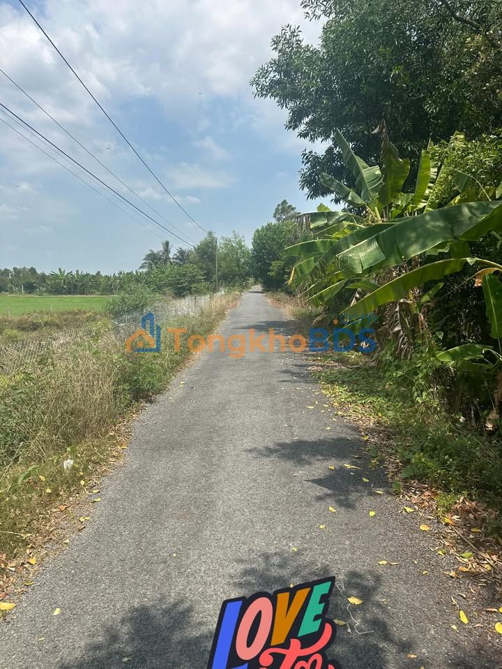 Đất ruộng Thiện Trung Cái Bè 17.000m² 7,99 tỷ - Sổ đỏ chính chủ