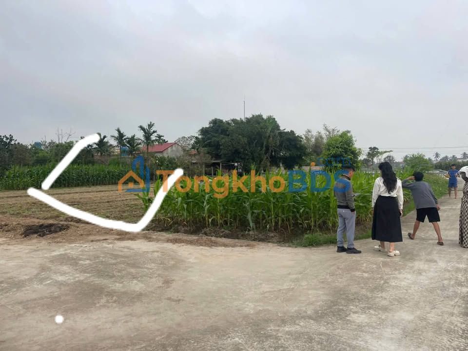 Đất nền Thái Hưng Thái Thụy 150m² 5xx triệu - Sổ đỏ chính chủ