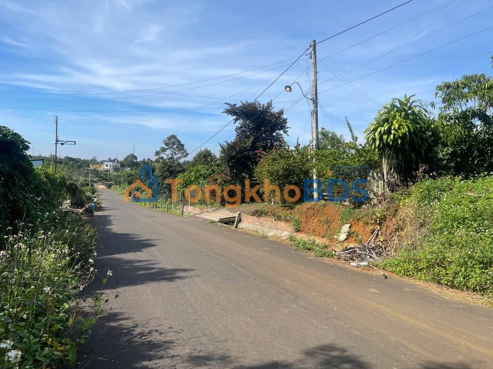 Đất vườn Lộc An Bảo Lâm 2.891m² 4.5 tỷ - Đầu tư dài hạn