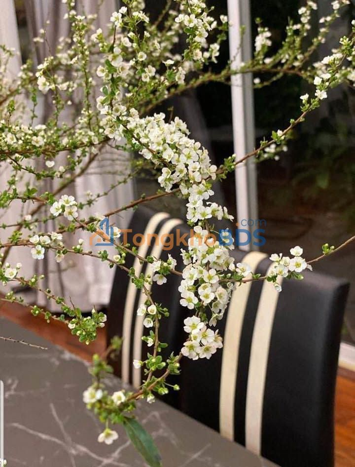 Nhà riêng Đoàn Thị Điểm Hải Phòng 63m² 4.9 tỷ - Chính chủ bán