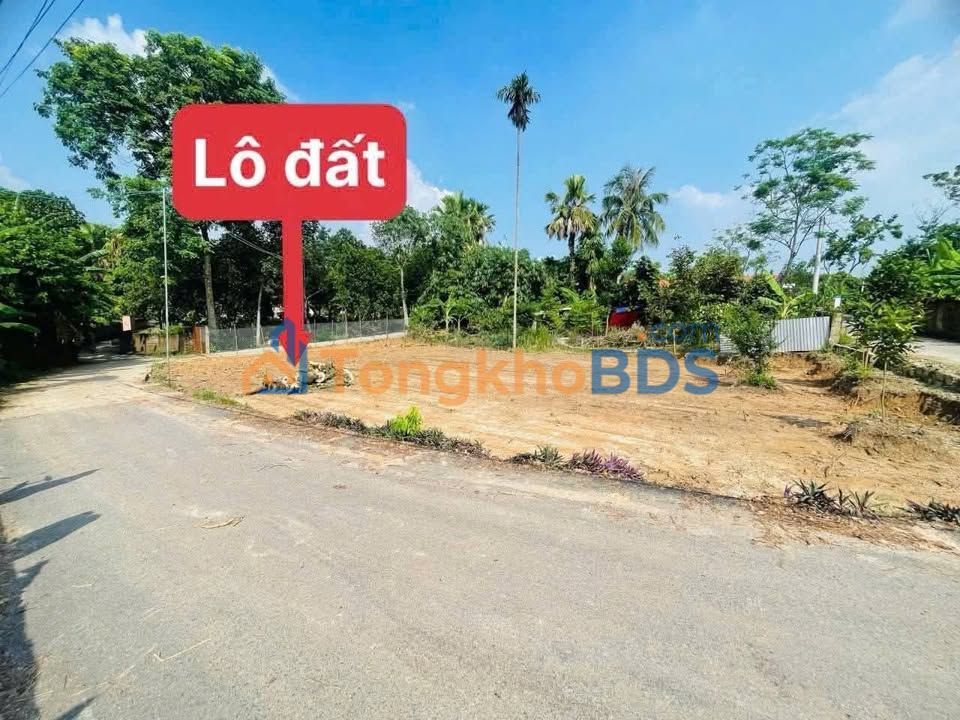Đất nền Tử Du Lập Thạch 101m² 600-699 triệu - Đường ô tô