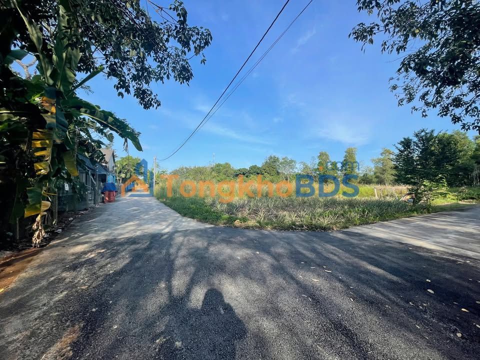 Đất nền Tân Hưng Bàu Bàng 380m² 1 tỷ - Sổ đỏ chính chủ