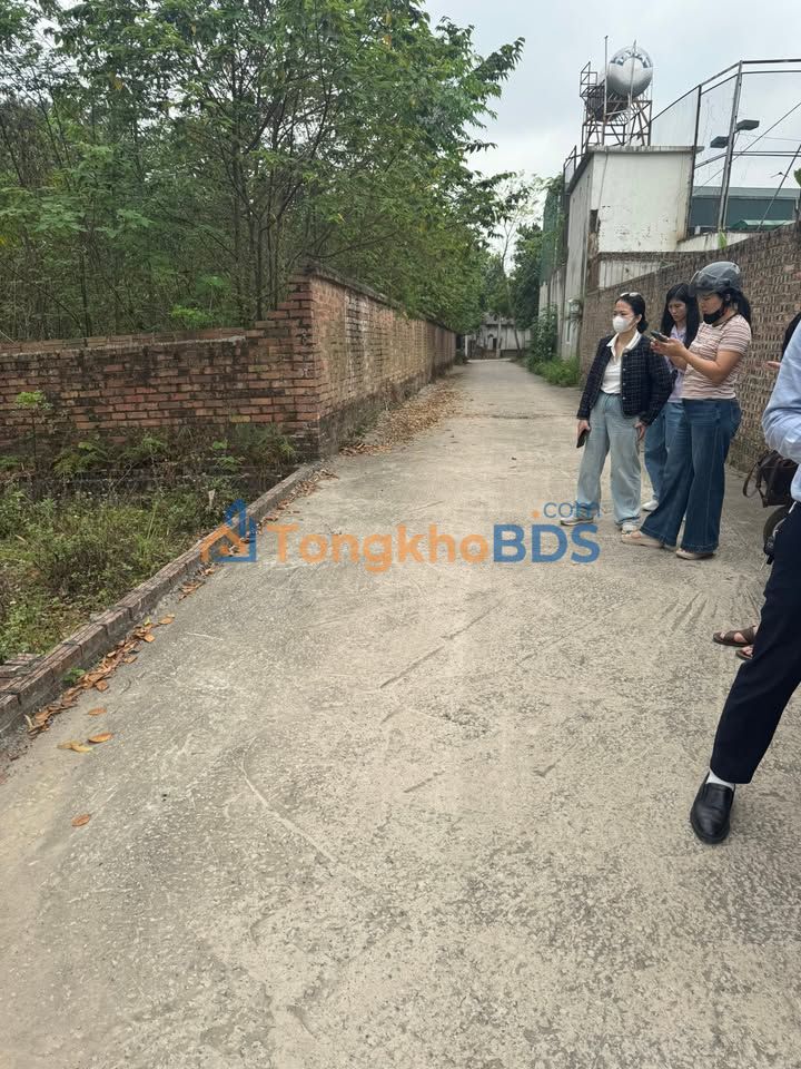 Đất nền Sóc Sơn 98m² 3x tỷ - Sổ đỏ chính chủ, xây tự do